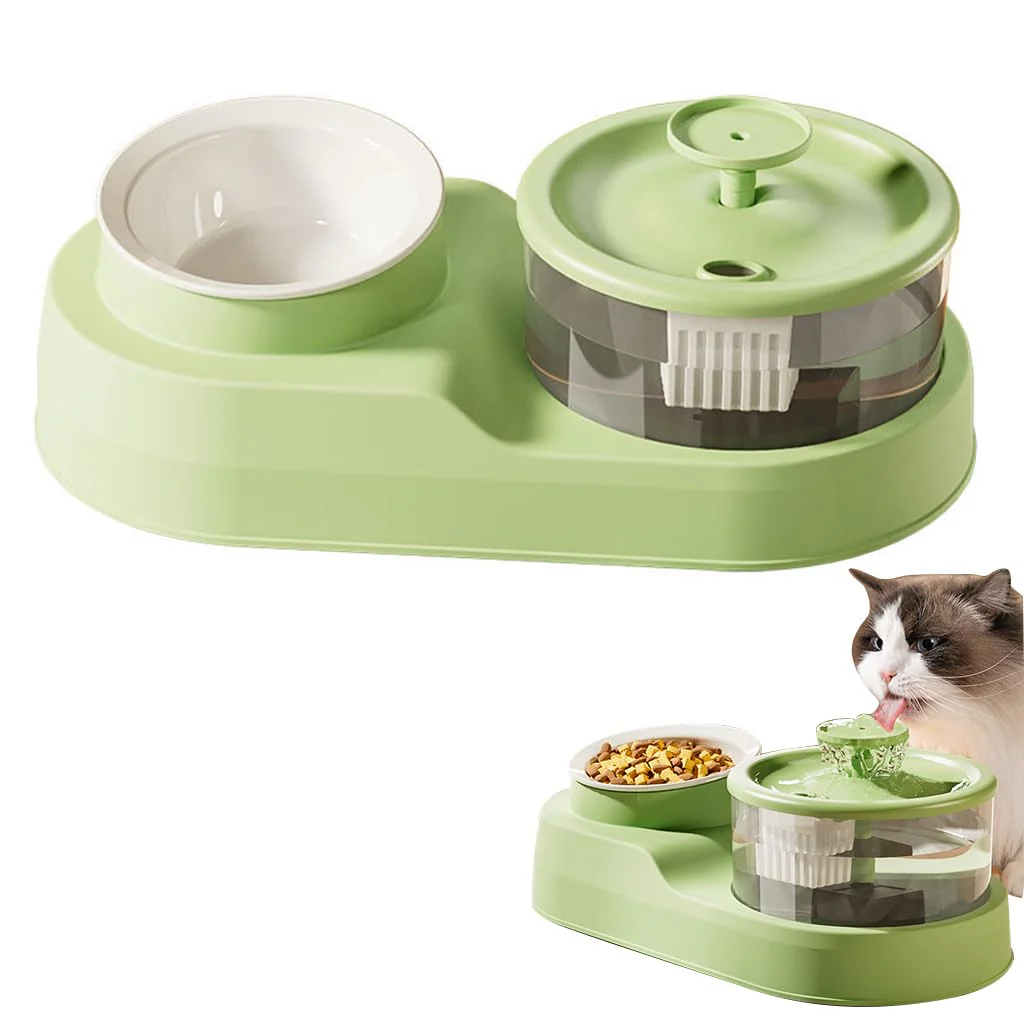 Cat Food Bowls