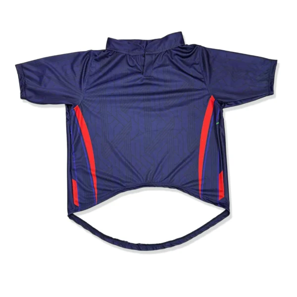 Dog Jersey Lucknow Super Giants